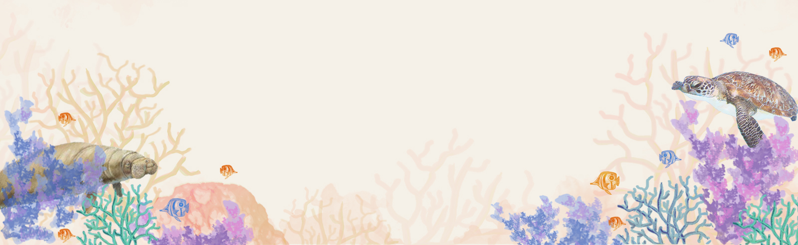 banner_image